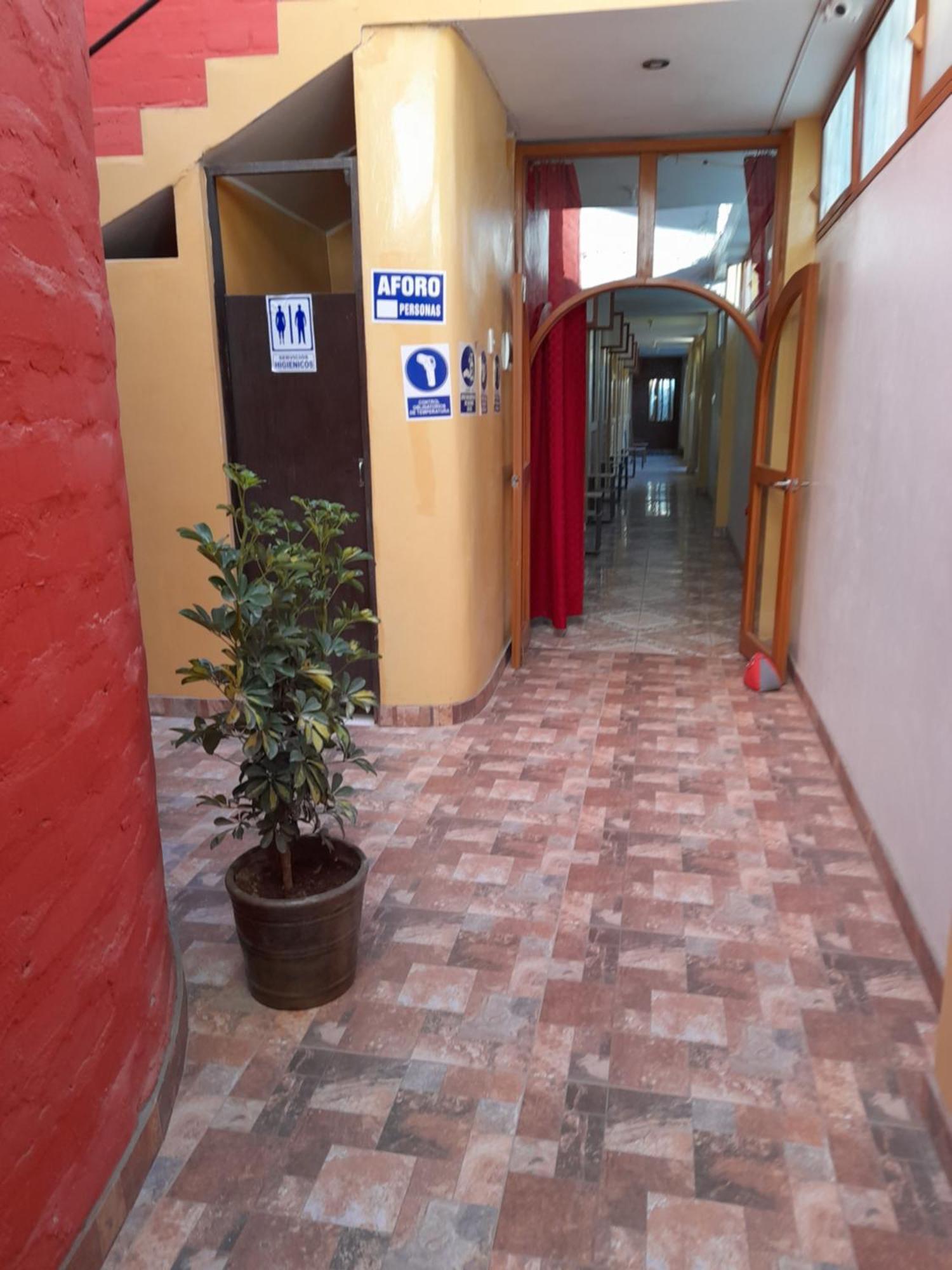 Nasca Trails B&B Nazca Ngoại thất bức ảnh