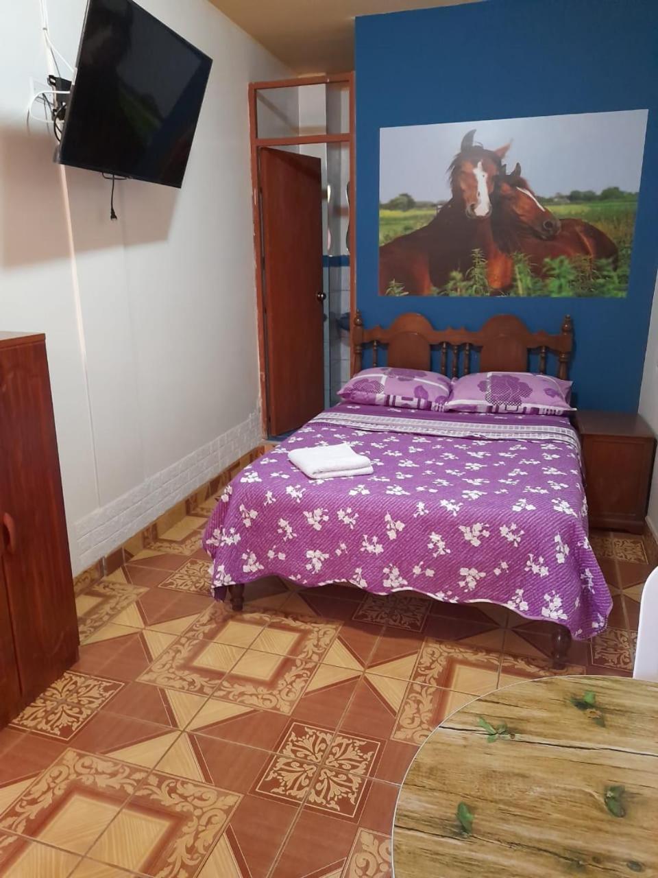 Nasca Trails B&B Nazca Ngoại thất bức ảnh